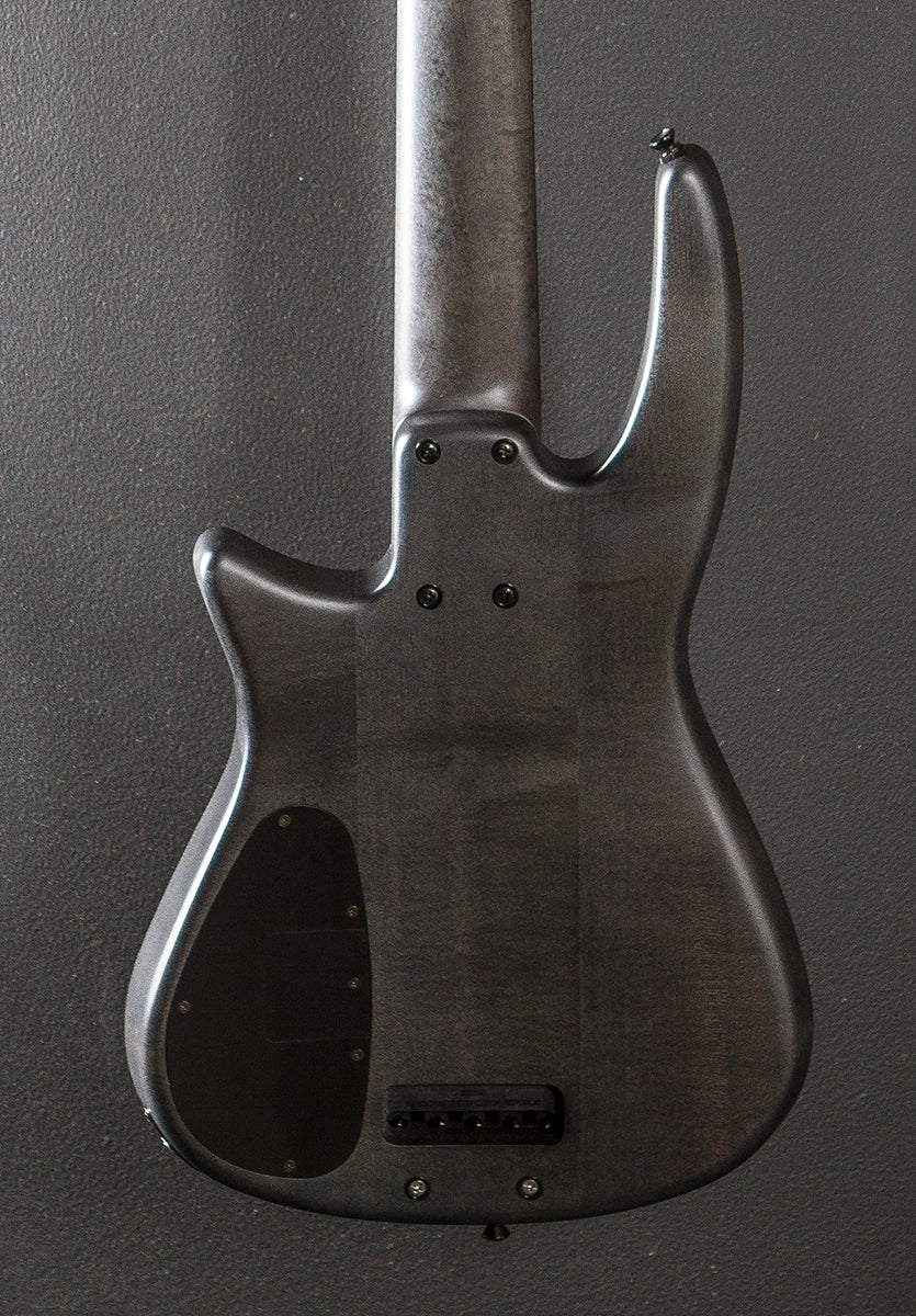 NS-CR5 Radius Fretless 5 String Bass, Recent