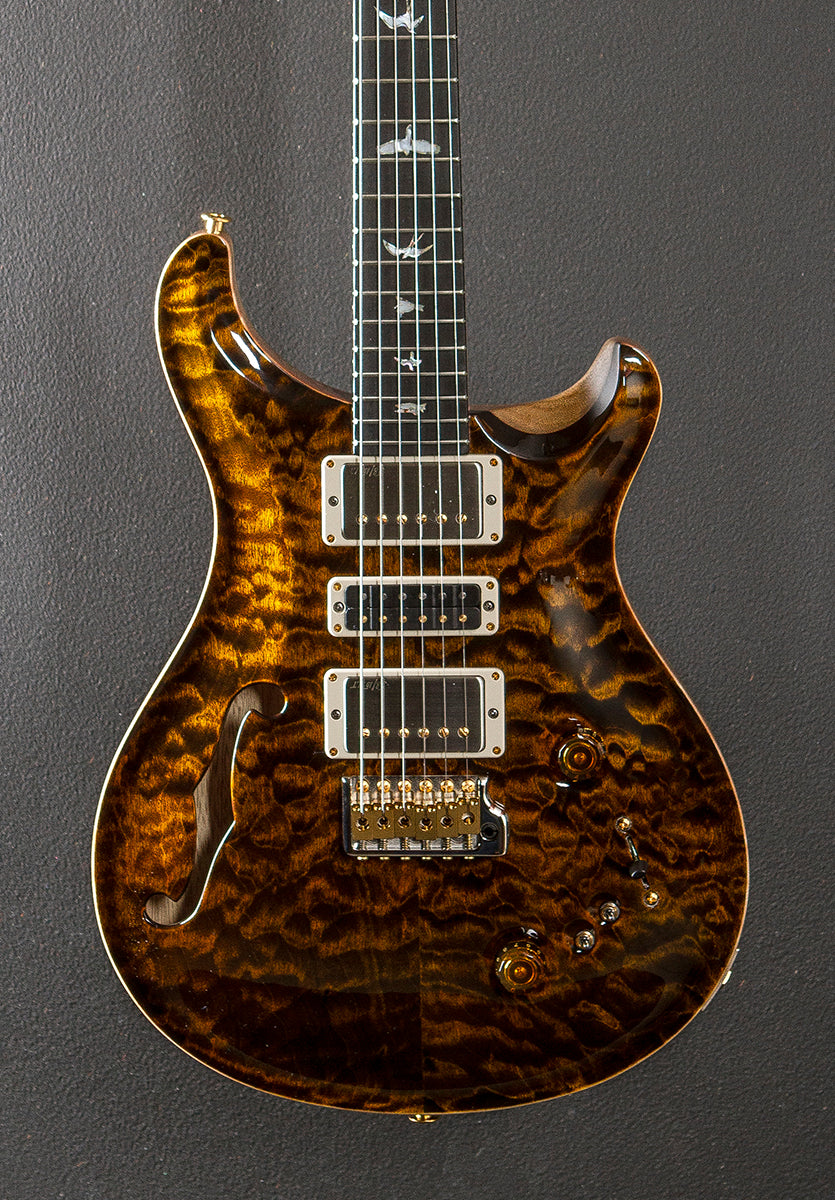 Special Semi-Hollow Wood Library Limited - Yellow Tiger w/Korina