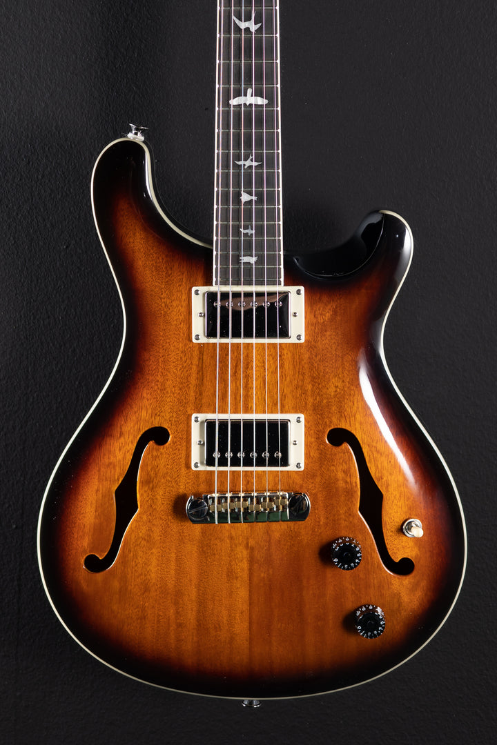 SE Hollowbody II '19