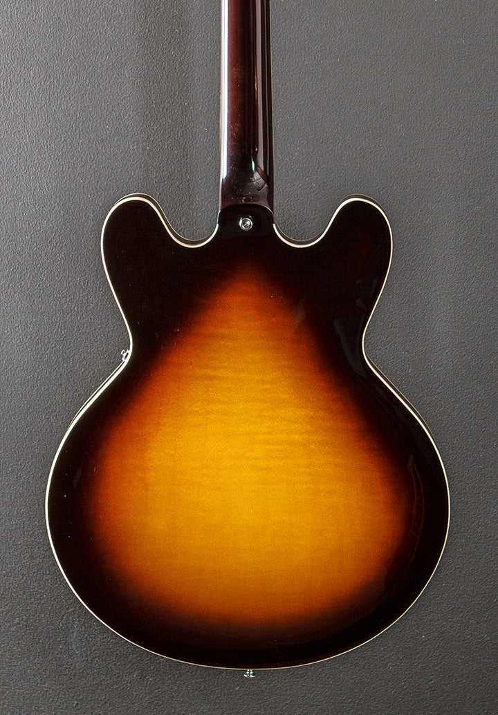 Standard Collection H-530 Hollow - Original Sunburst