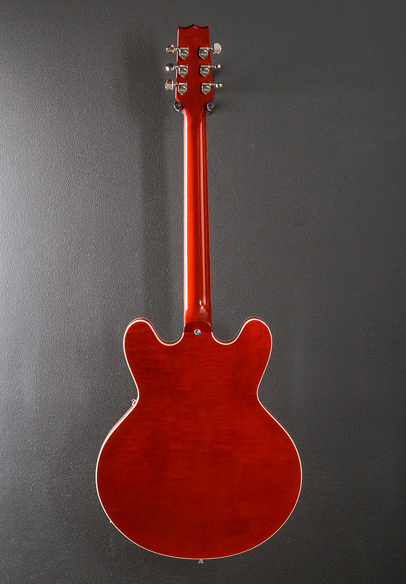 Standard Collection H-530 Hollow - Translucent Cherry