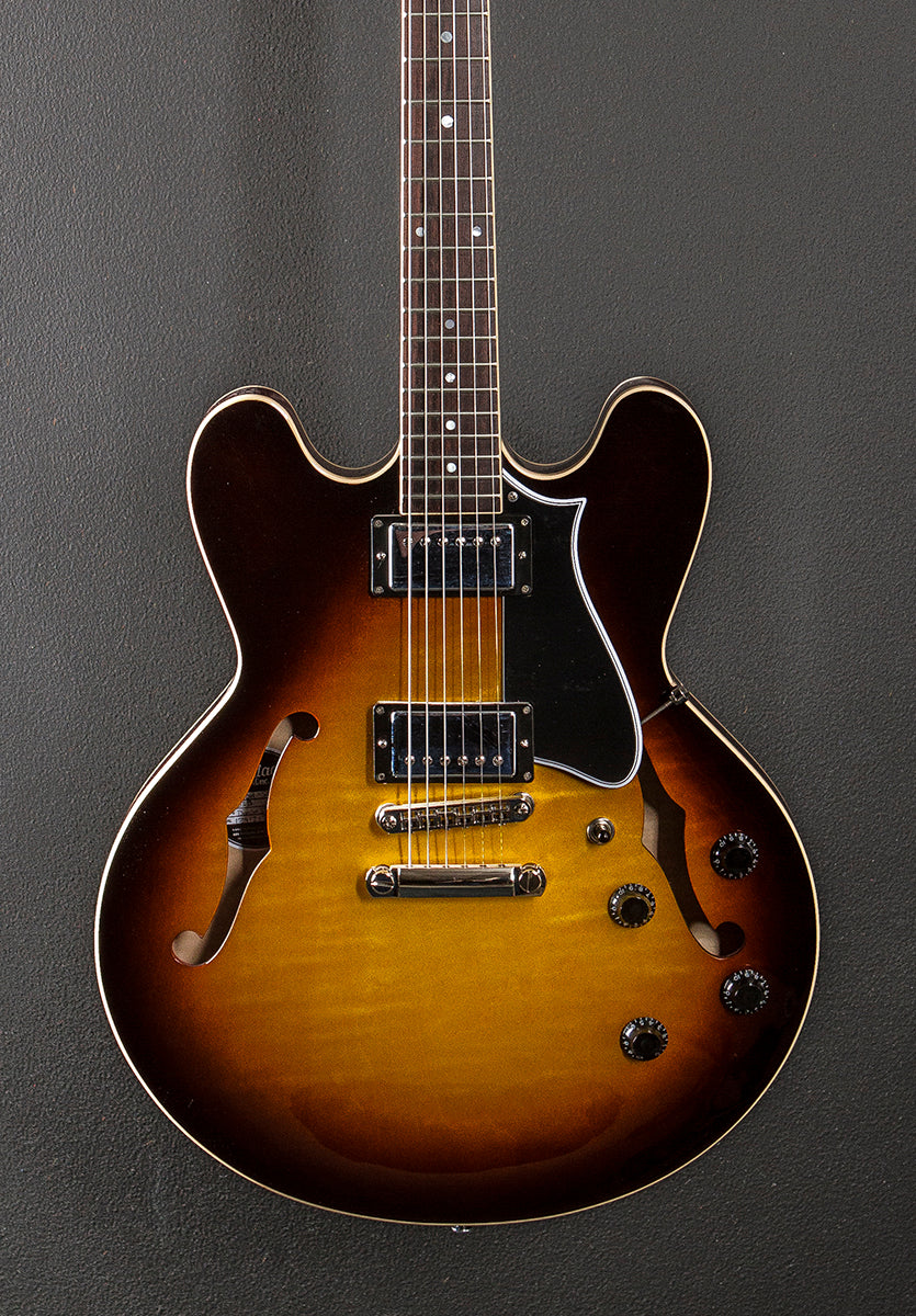 Standard Collection H-535 Semi-Hollow '24