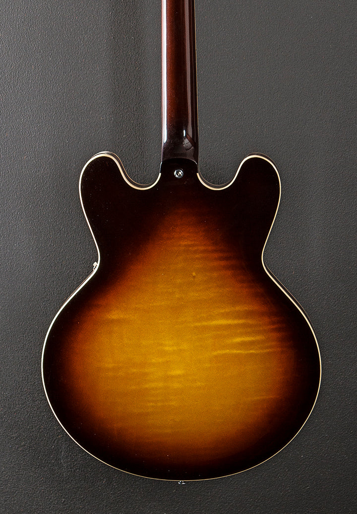 Standard Collection H-535 Semi-Hollow '24