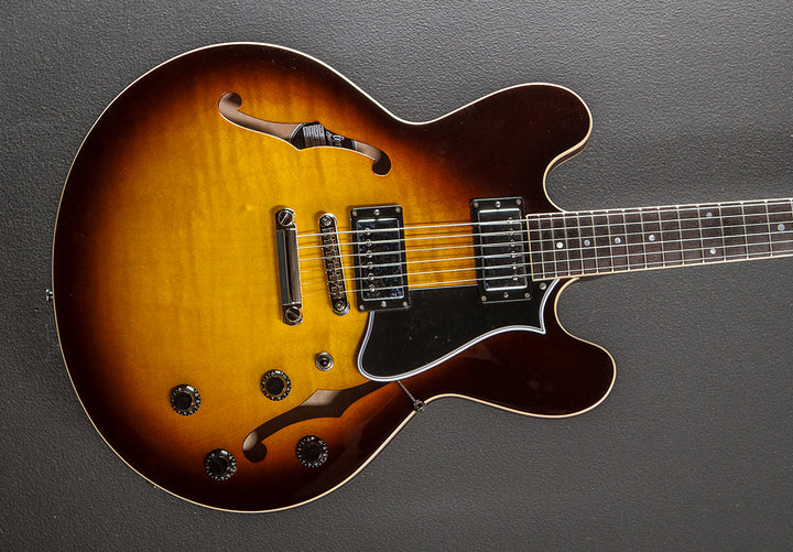 Standard Collection H-535 Semi-Hollow '24