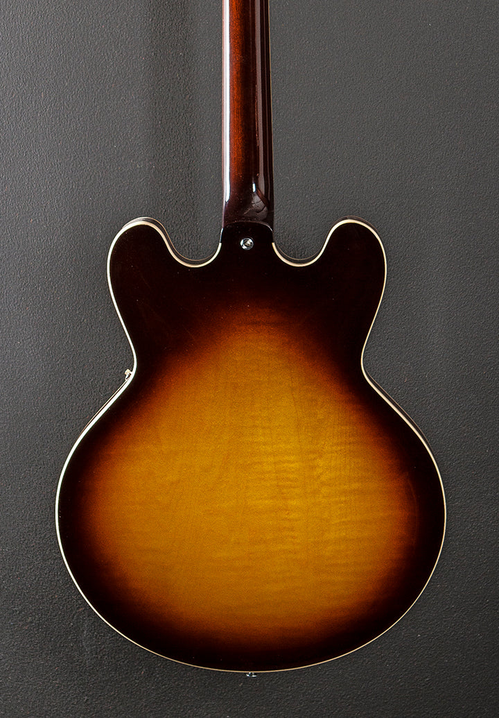 Standard Collection H-535 Semi-Hollow '24