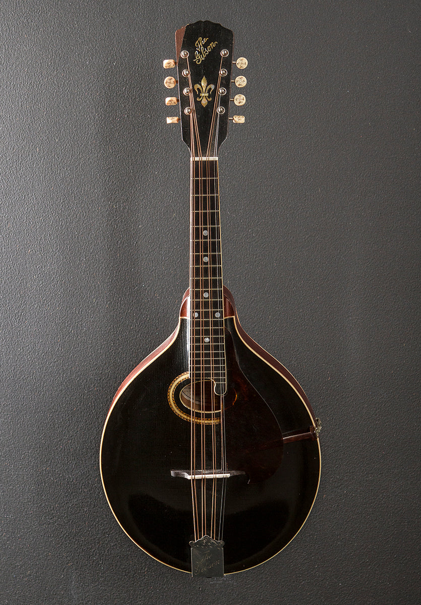 H-2 Mandola, 1913