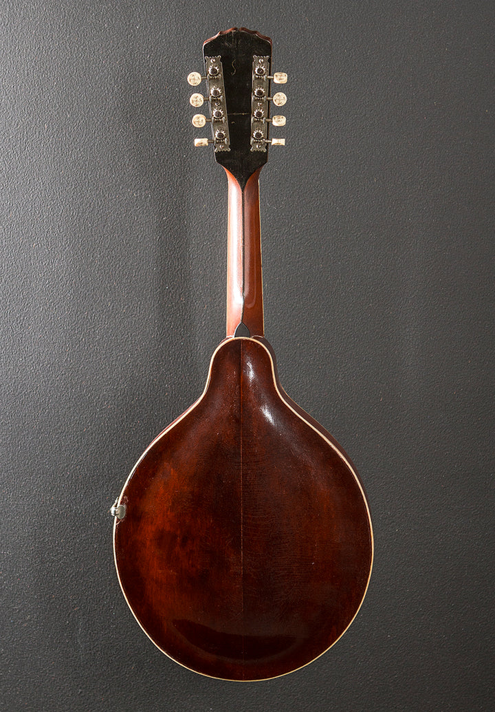 H-2 Mandola, 1913