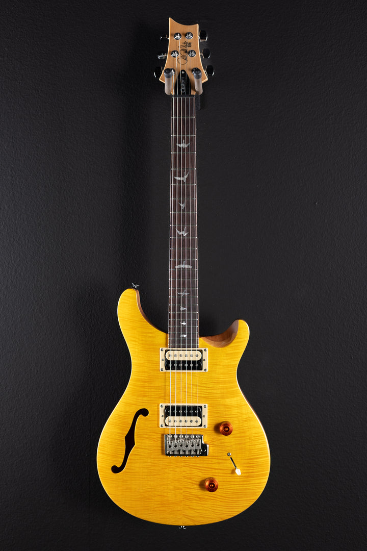 SE Custom 22 Semi-Hollow '21