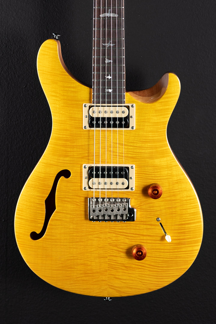 SE Custom 22 Semi-Hollow '21