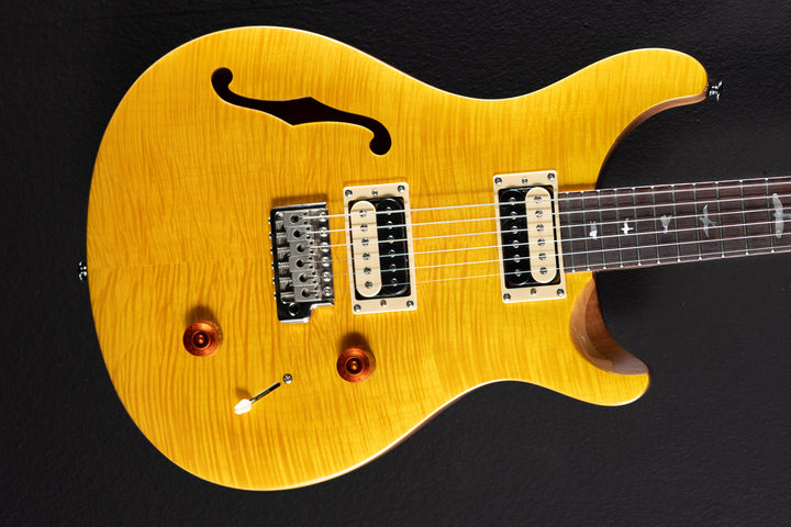 SE Custom 22 Semi-Hollow '21