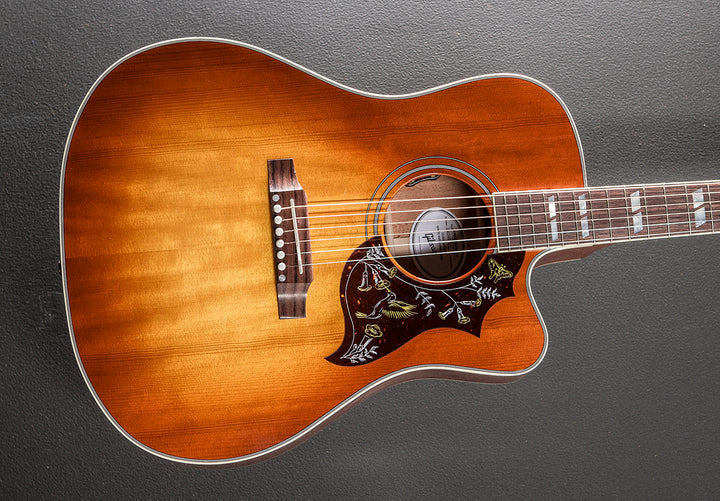 Hummingbird Standard EC - Heritage Cherry Sunburst