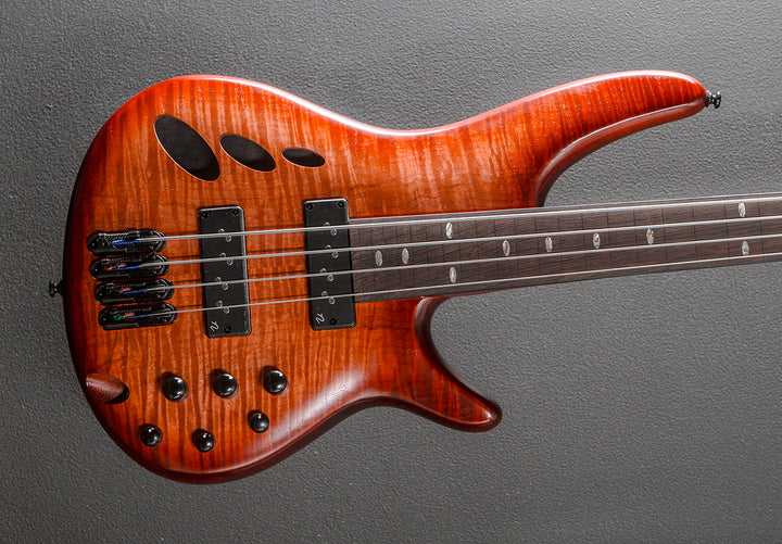 SRD900F Fretless Bass - Brown Topaz Burst Low Gloss