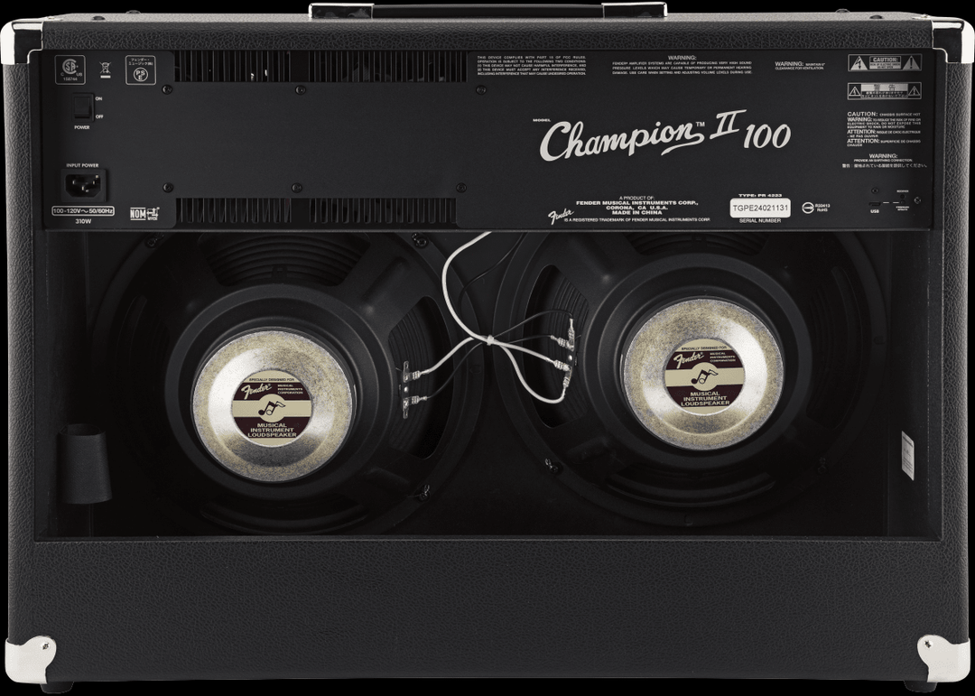 Champion II 100