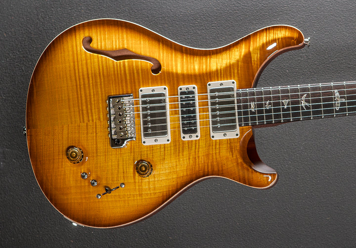 Special Semi-Hollow '24