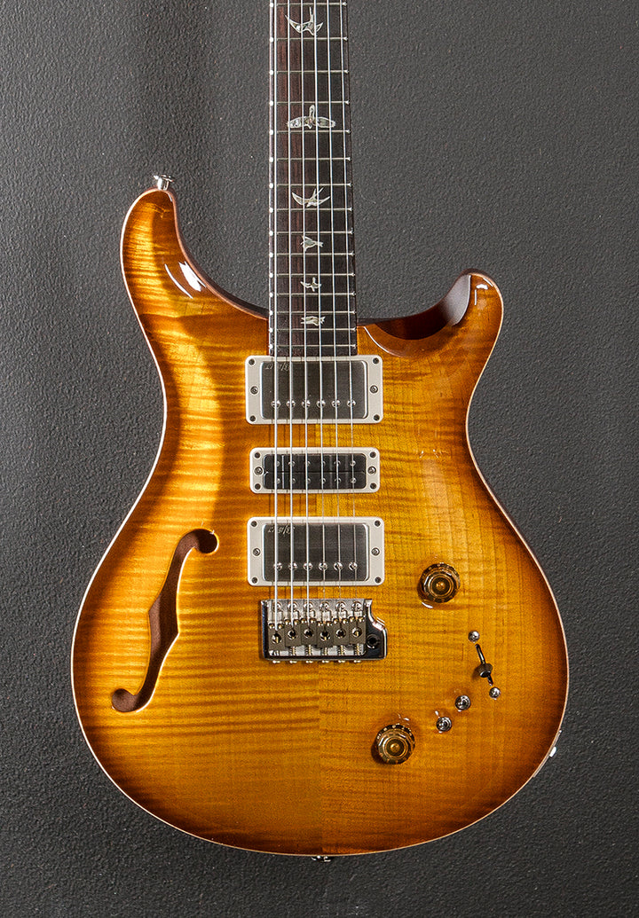 Special Semi-Hollow '24