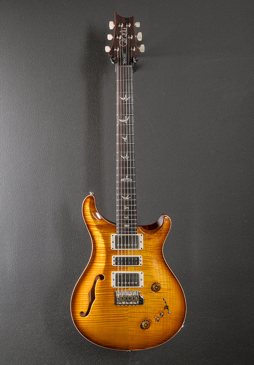 Special Semi-Hollow '24