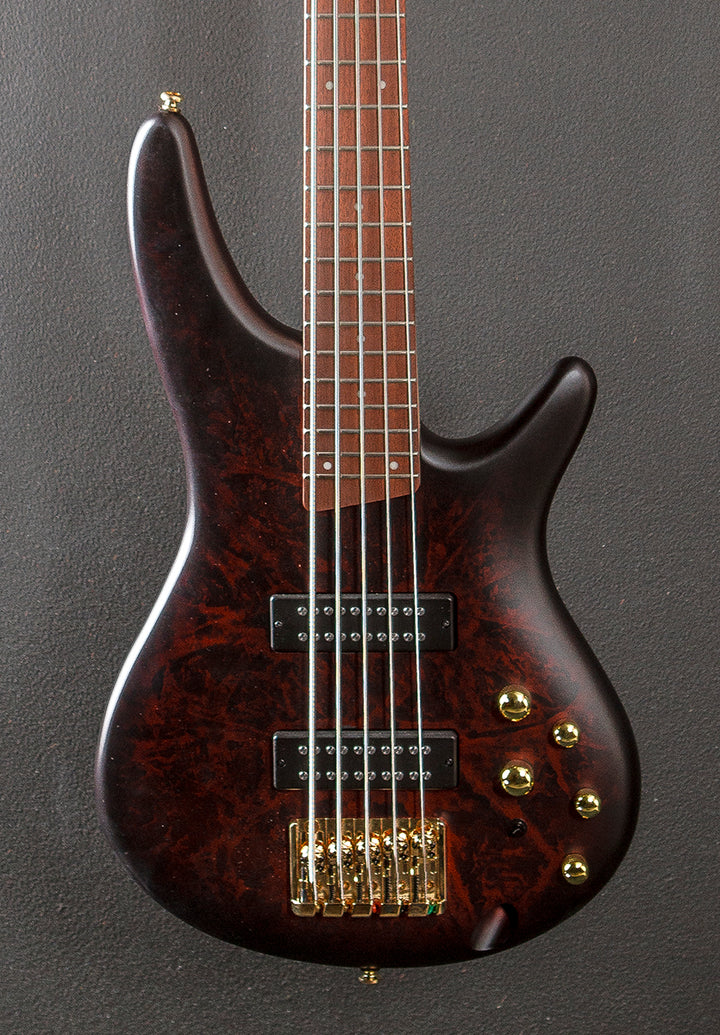 SR305EDX 5 String Bass - Wine Red Frozen Matte