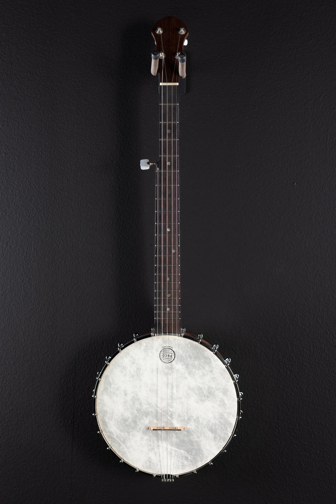 5 String Banjo, Recent