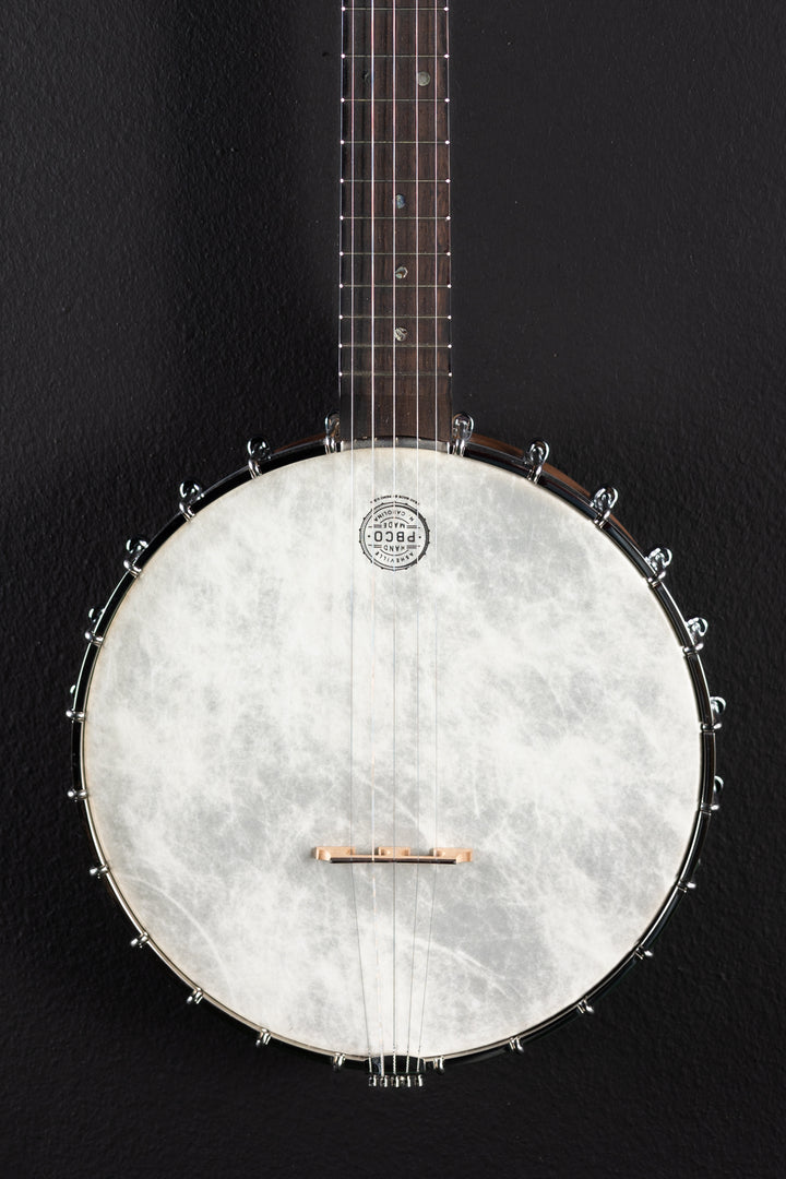 5 String Banjo, Recent