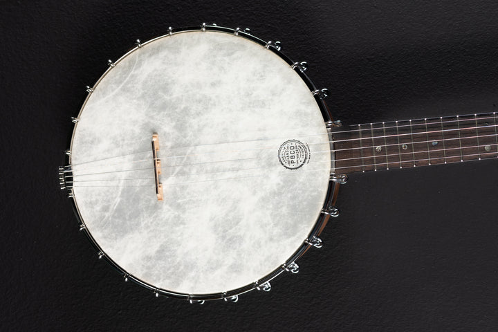 5 String Banjo, Recent