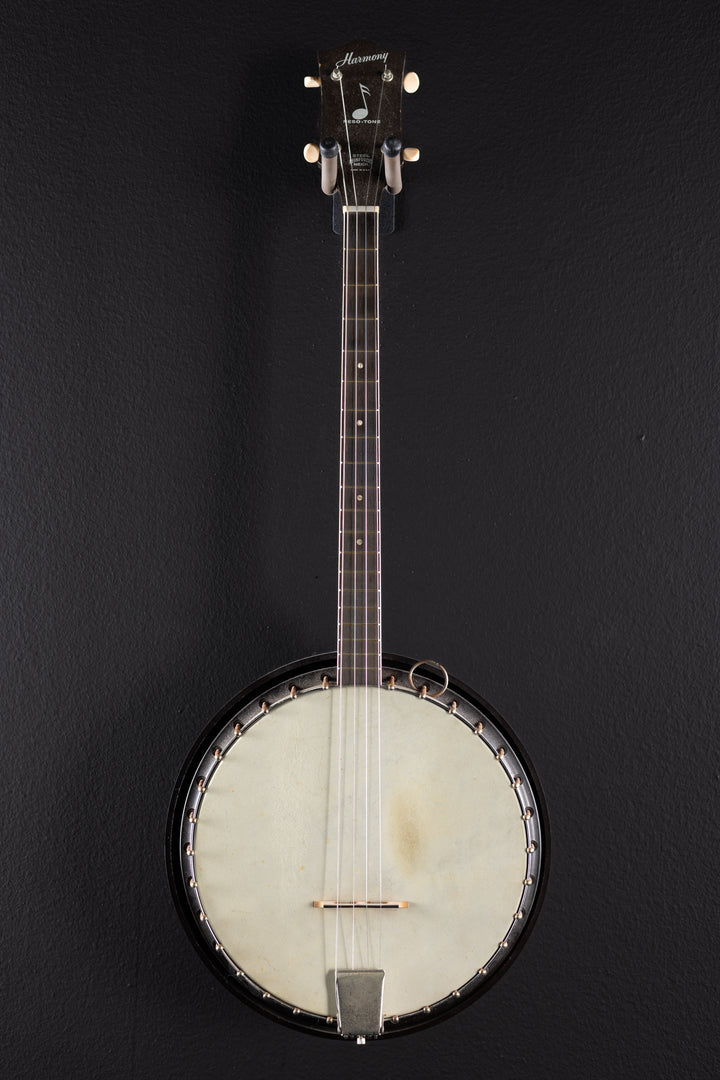 Reso-Tone Banjo, Recent