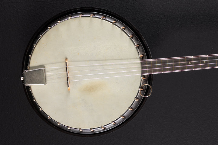 Reso-Tone Banjo, Recent