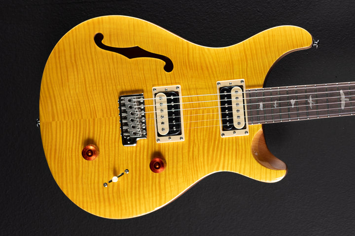 SE Custom 22 Semi-Hollow '22