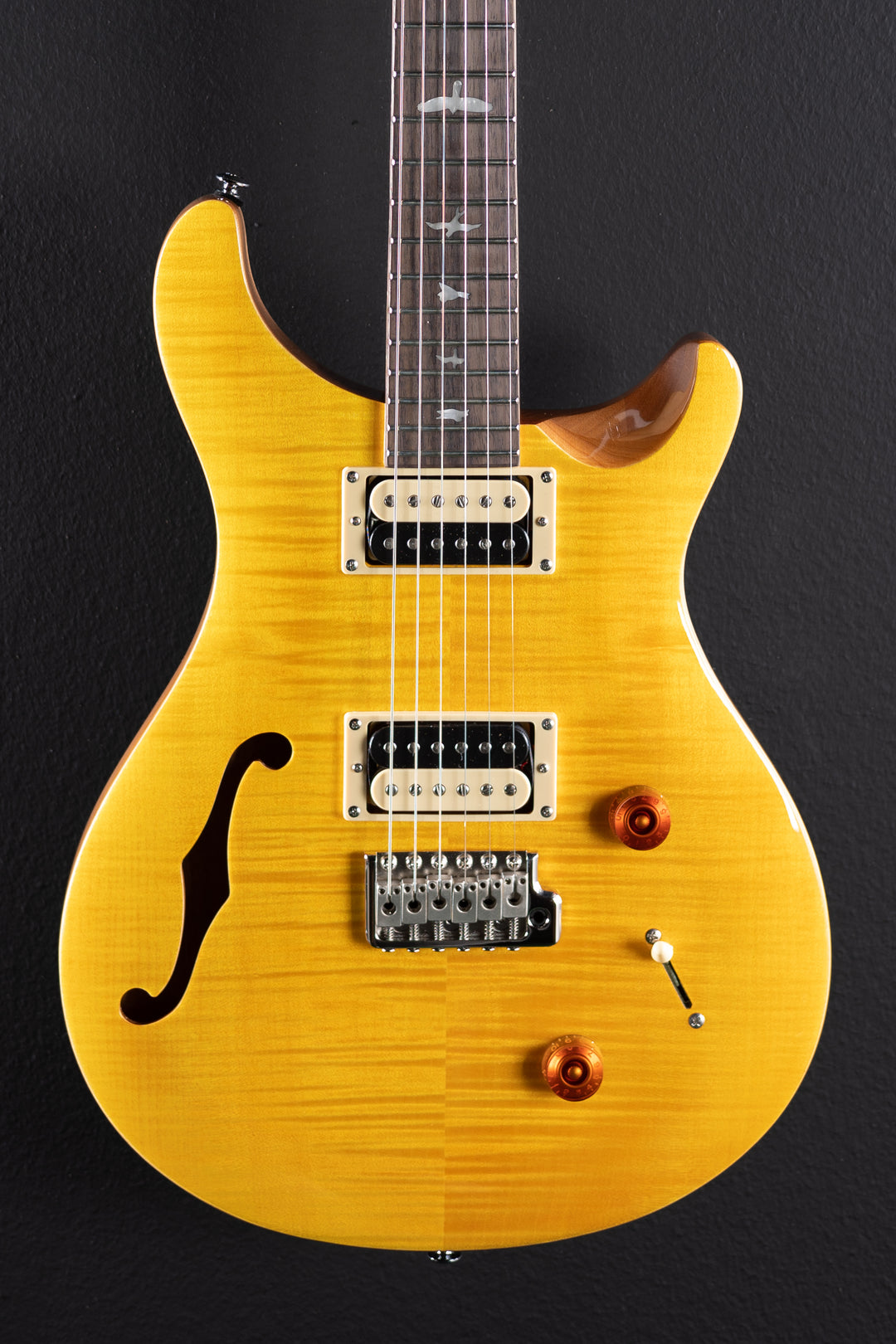 SE Custom 22 Semi-Hollow '21