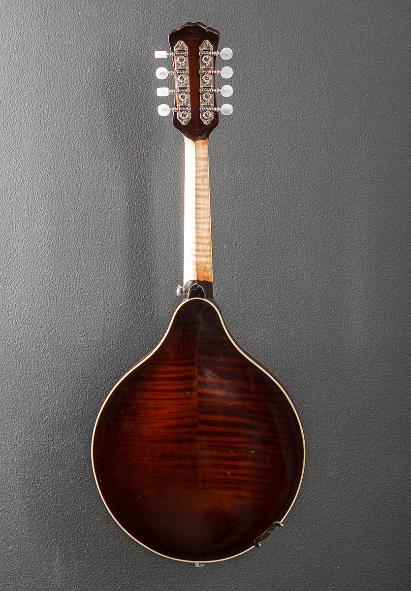 Absaroka Mandolin '98