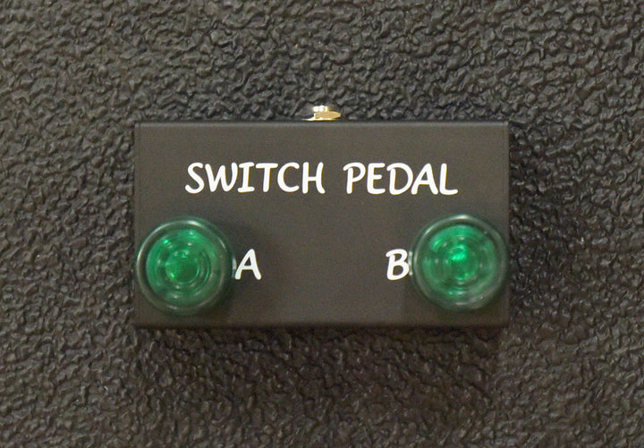 Small 2-Button Footswitch, Recent