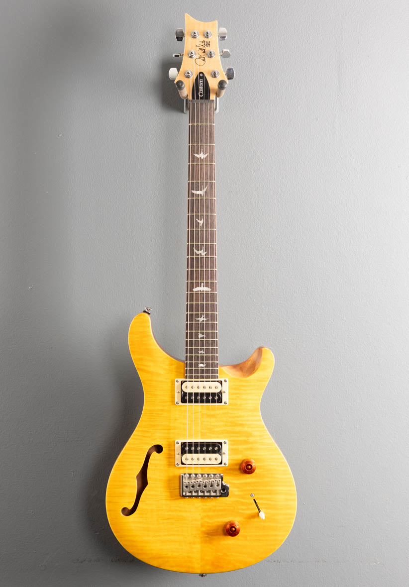 SE Custom 22 Semi-Hollow, '21