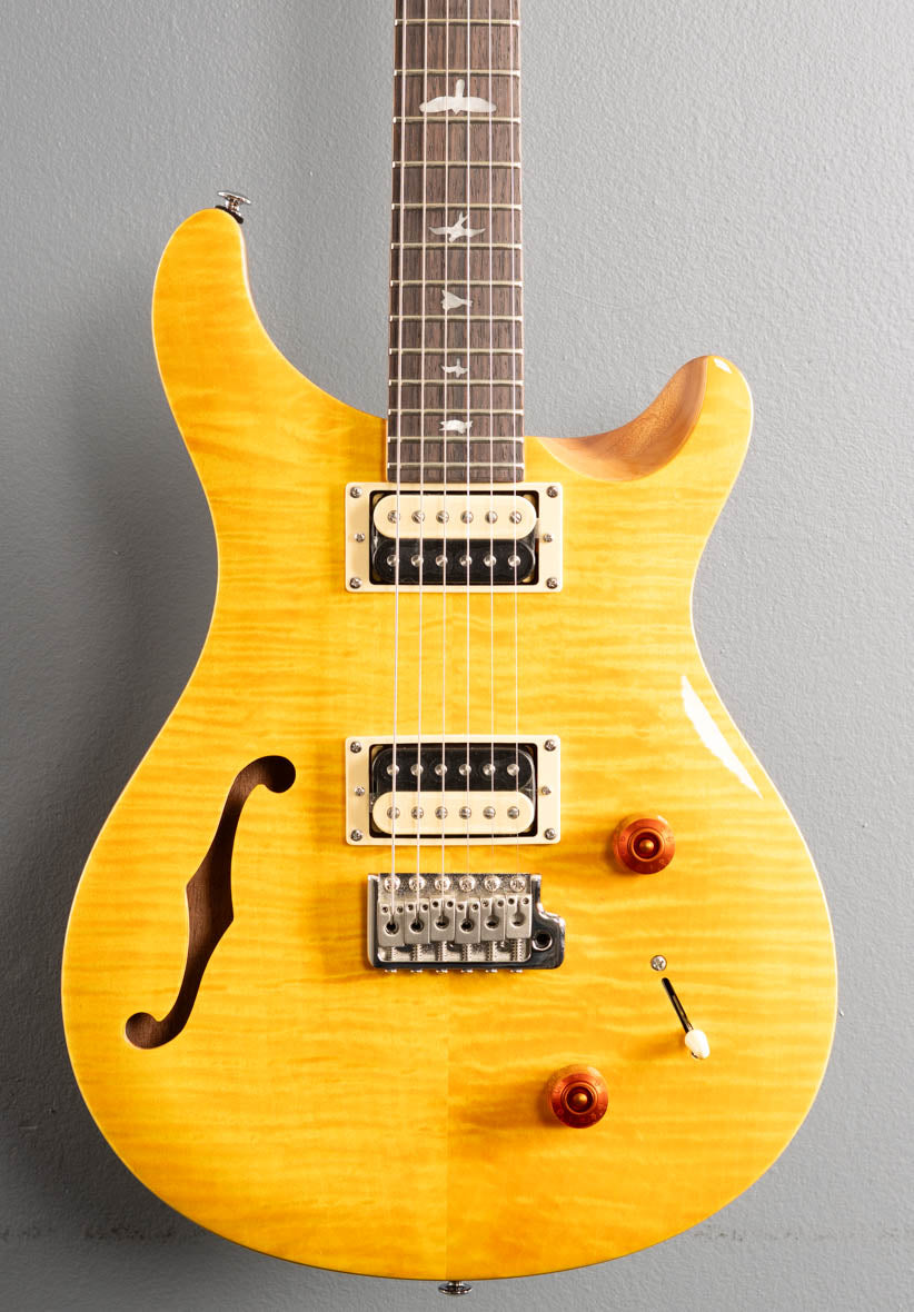 SE Custom 22 Semi-Hollow, '21