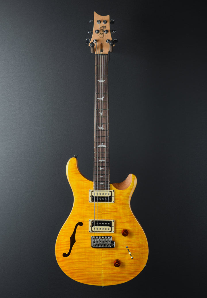 SE Custom 22 Semi-Hollow '22