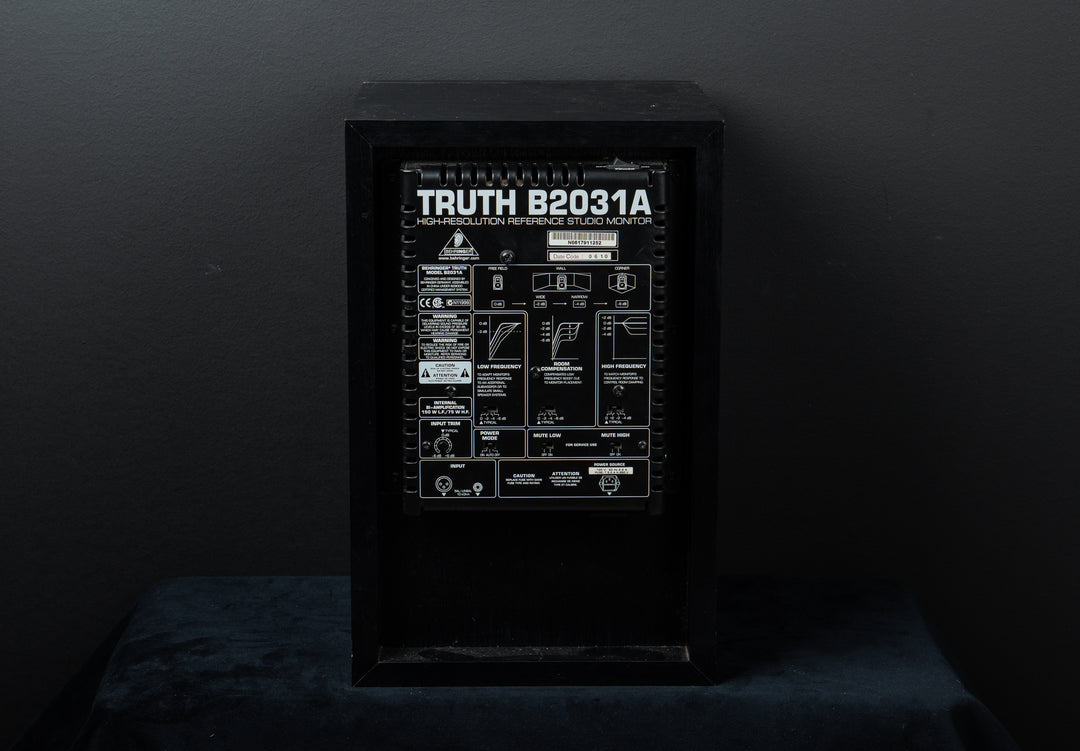 Truth Monitor B2031A 'Recent