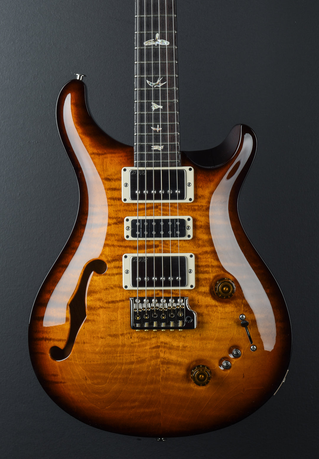 Special 22 Semi Hollow - Amber Smokewrap Burst