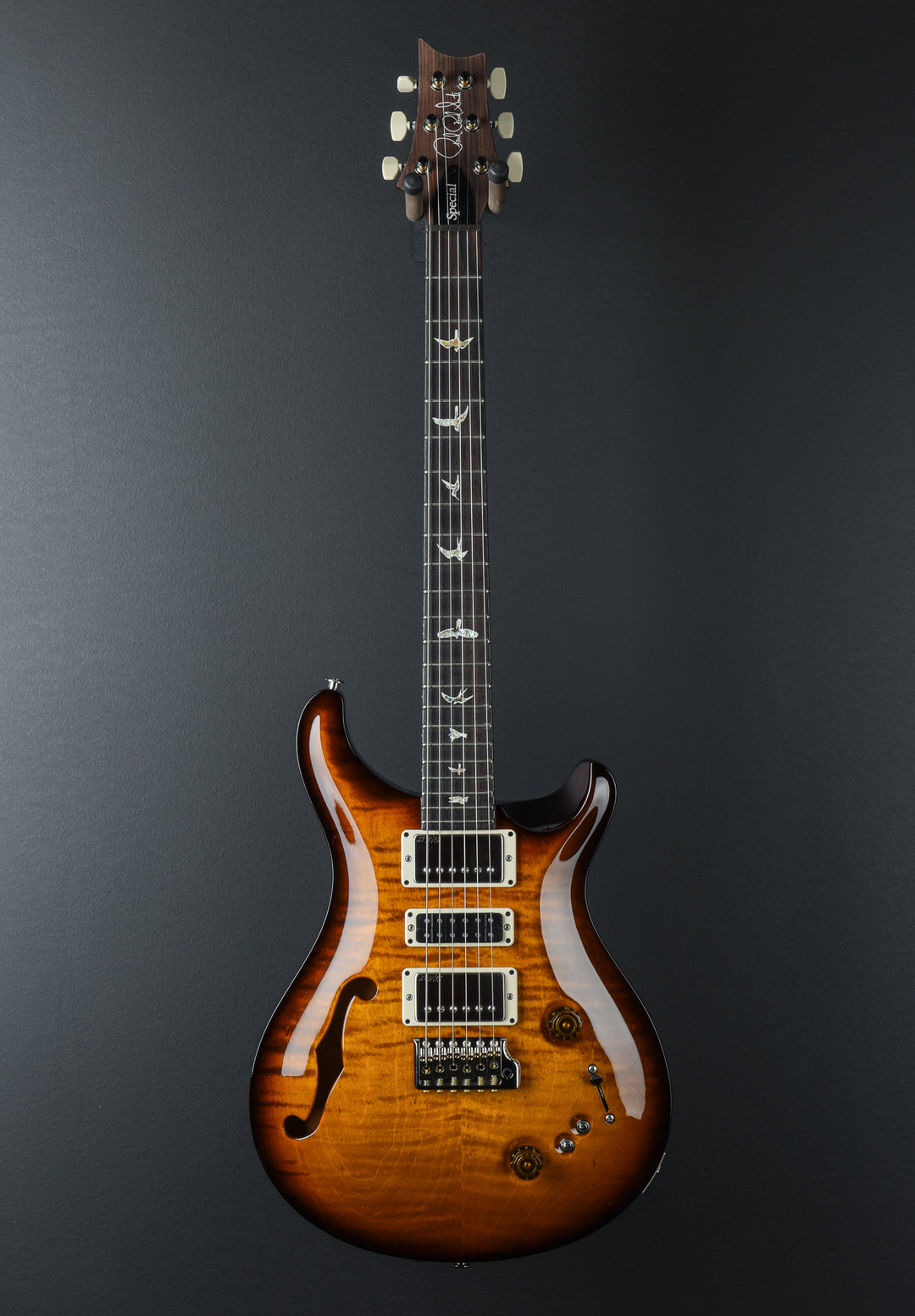 Special 22 Semi Hollow - Amber Smokewrap Burst