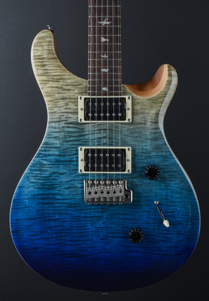 SE Custom 24  - Blue Fade