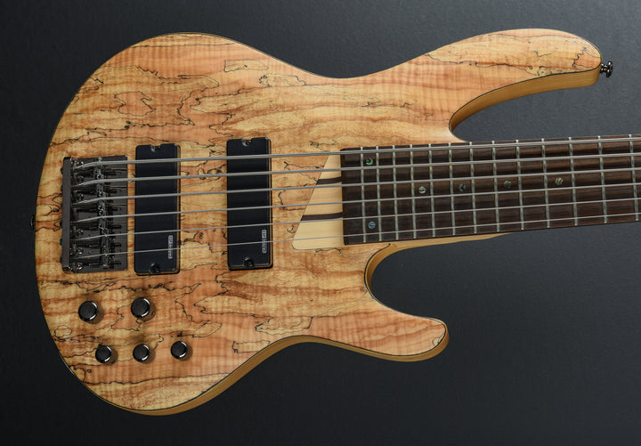 LTD B-206SM 6 String Bass