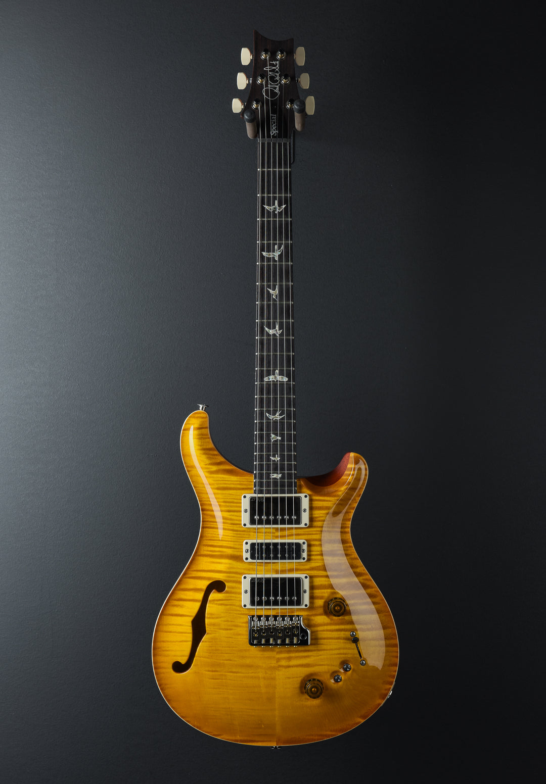 Special Semi-Hollow - McCarty Sunburst