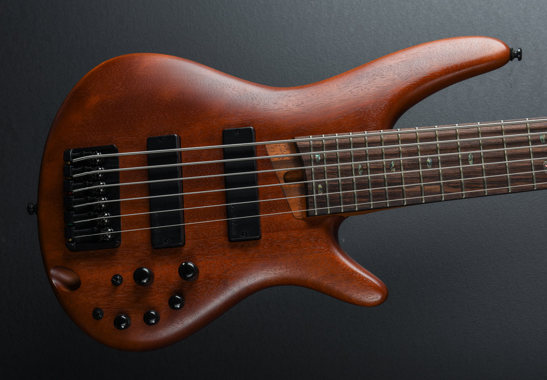 Ibanez SR506E 6 String Bass - Brown Mahogany