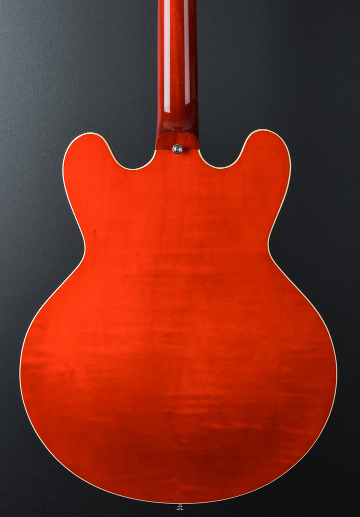 Standard Collection H-530 Hollow - Translucent Cherry