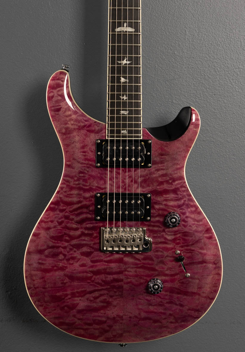 SE Custom 24 Quilt '24