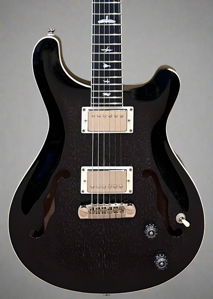 SE Hollowbody II Standard '24