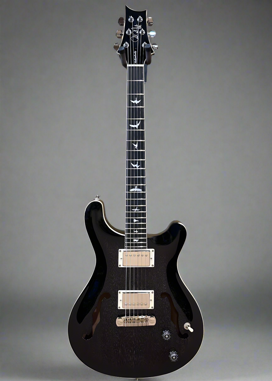 SE Hollowbody II Standard '24