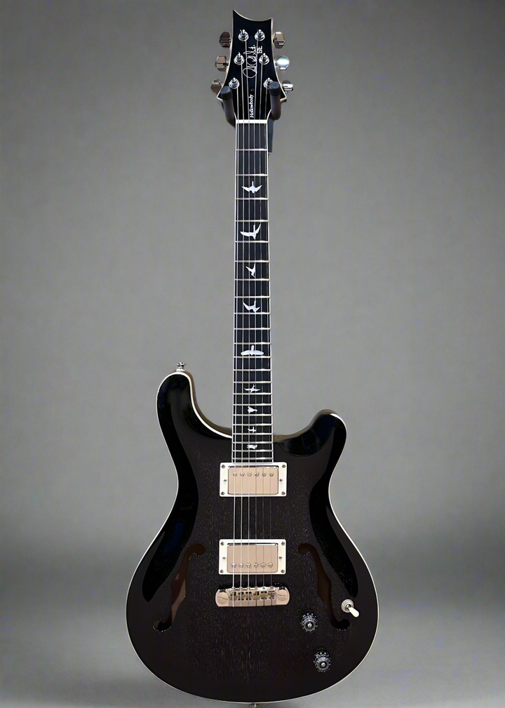 SE Hollowbody II Standard '24