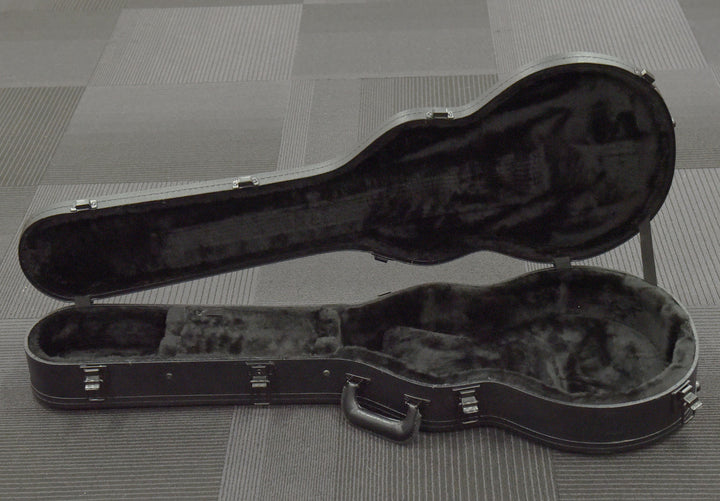 Les Paul Case - Black, Recent