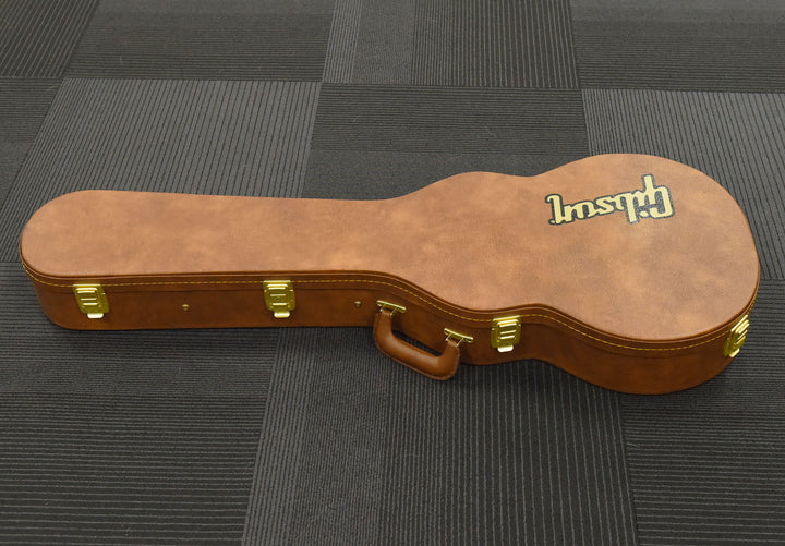 USA Les Paul Case, Recent