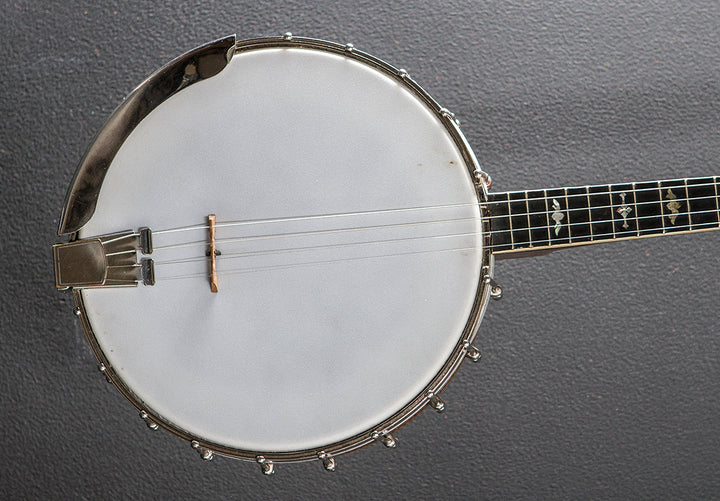 Tenor Banjo, Recent