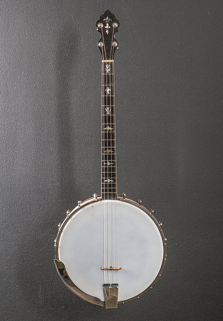 Tenor Banjo, Recent