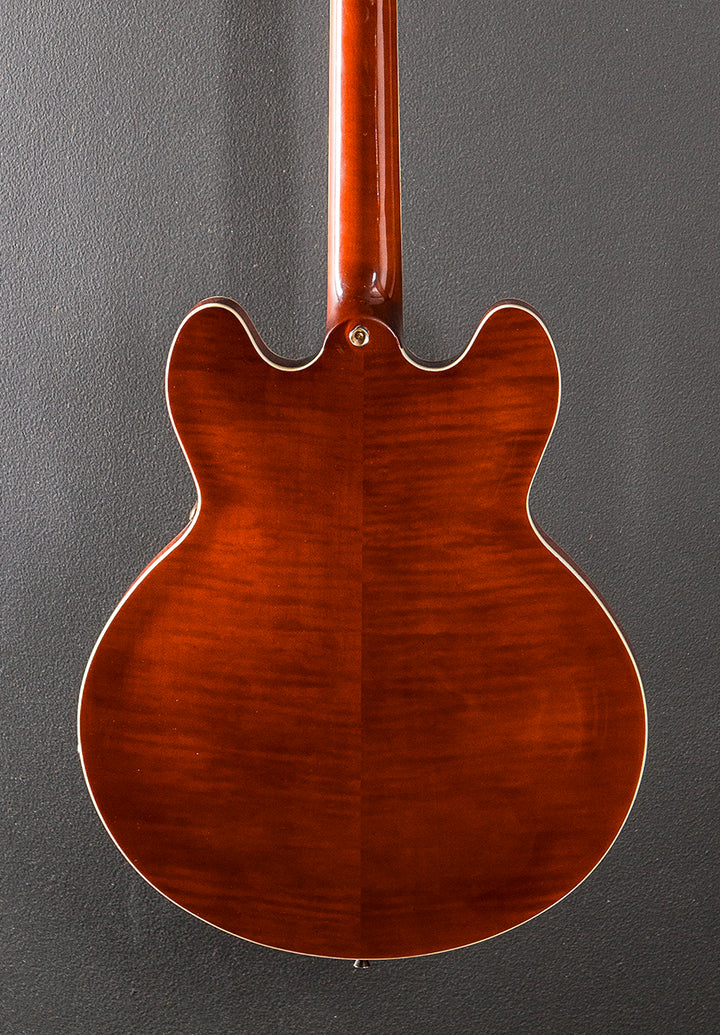 Classic Semi-Hollow, Recent